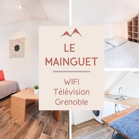 Le Mainguet - Appartement Cosy - 格勒诺布尔 外观 照片